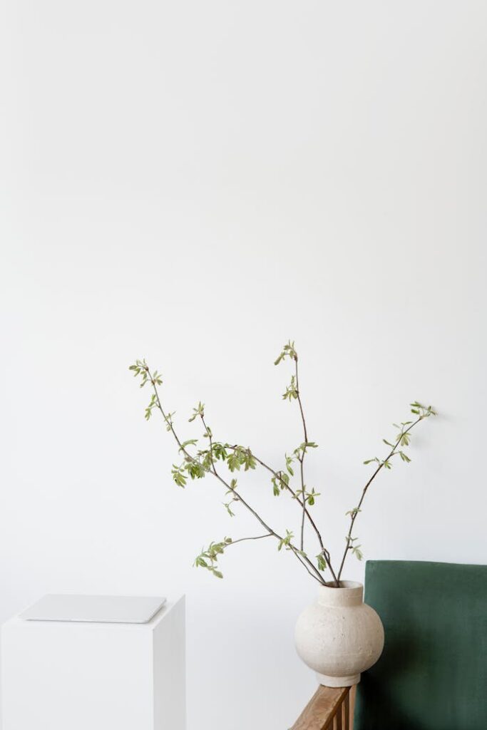 Elegant minimalist decor featuring a white vase with green branches on a wooden chair against a white wall.