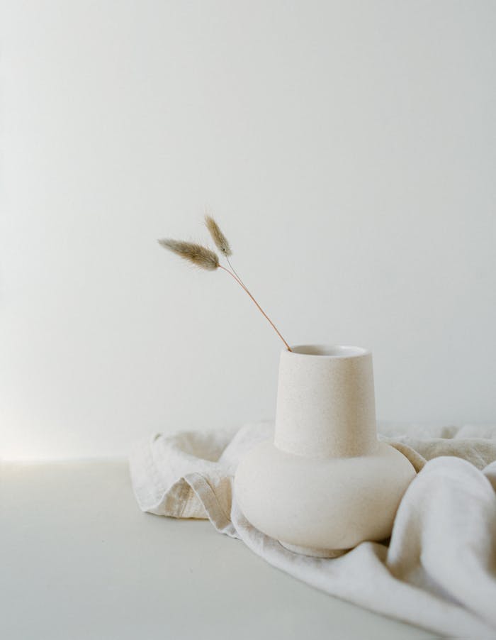 Elegant minimalist composition featuring a white ceramic vase with pampas grass on a soft fabric backdrop.